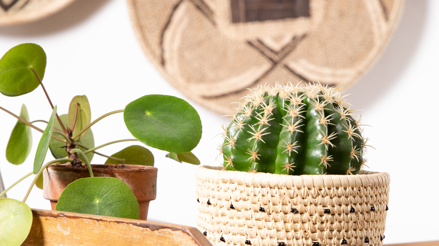 STEP INTO MY OFFICE...