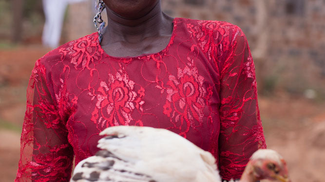 A Cotswold and a Kenyan Christmas