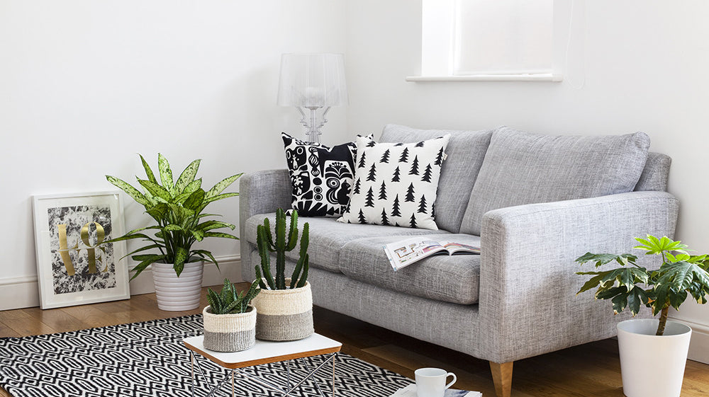 The Basket Room £100 Voucher Giveaway with Candy Pop!