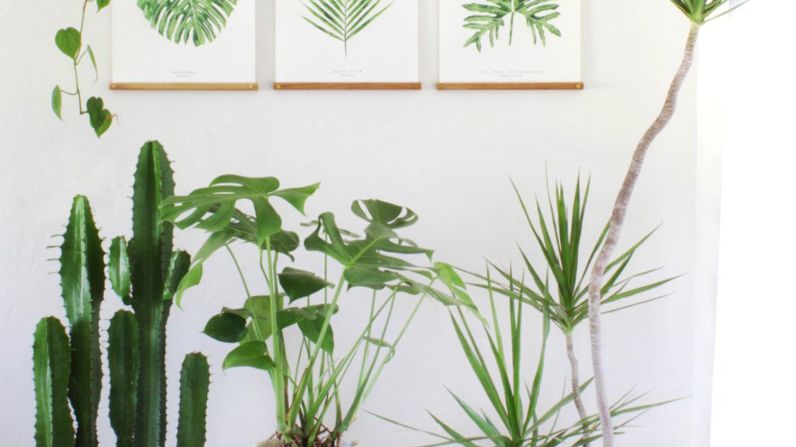 The Basket Room x Living Pattern Giveaway