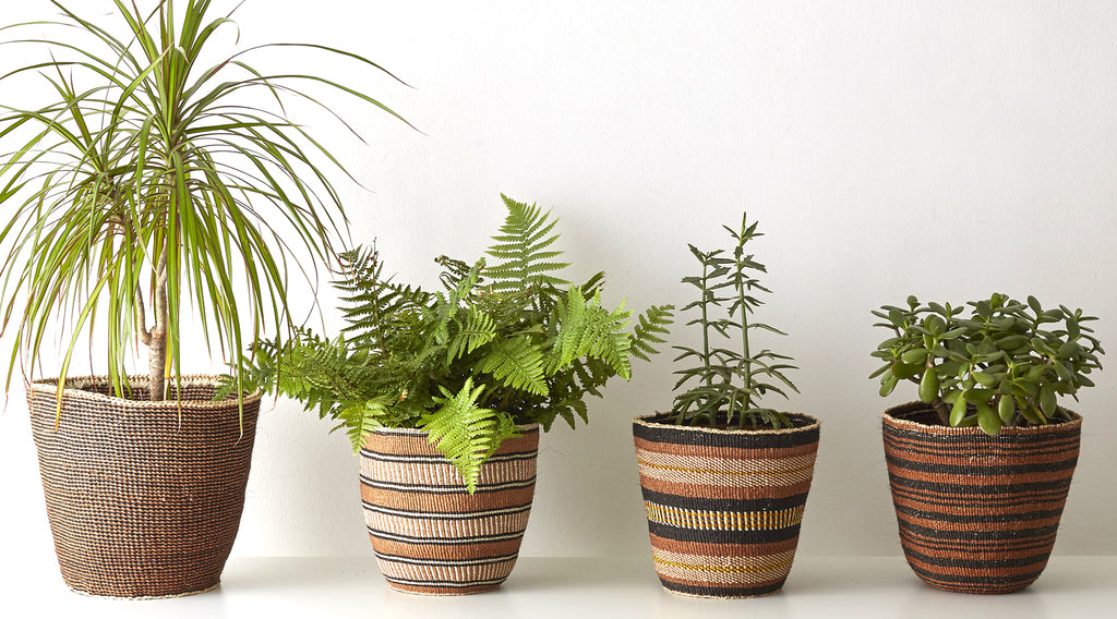 Extra-Fine Natural Woven Planter Baskets